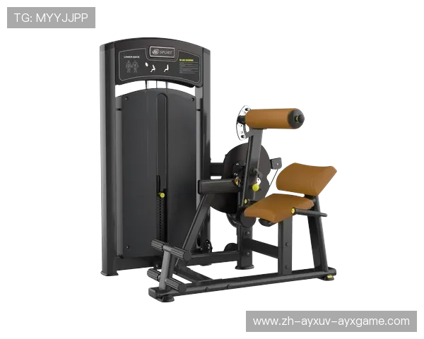 高效腹肌训练器械排行榜从新手到进阶器材指南